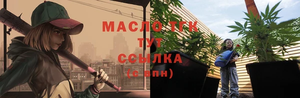 шишки Няндома