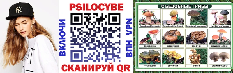 Галлюциногенные грибы MAGIC MUSHROOMS  мега маркетплейс  Кизел 